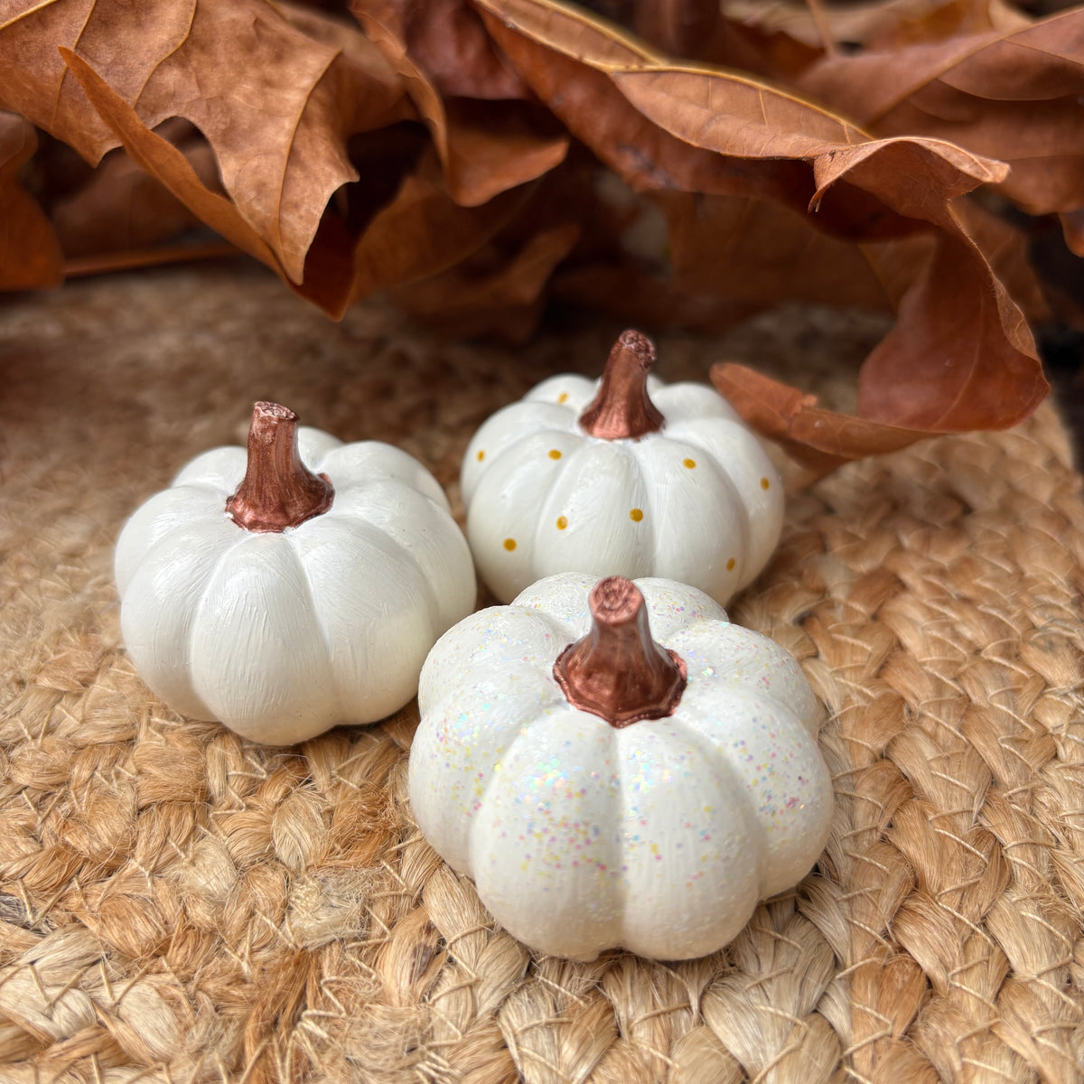 Mini Pumpkins (Fall 2026) - Ivory