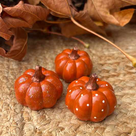 Mini Pumpkins (Fall 2026) - Orange