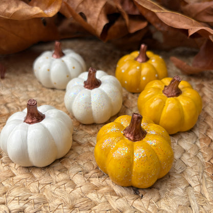 Mini Pumpkins (Fall 2026) - Ivory