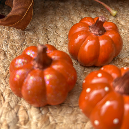 Mini Pumpkins (Fall 2026) - Orange