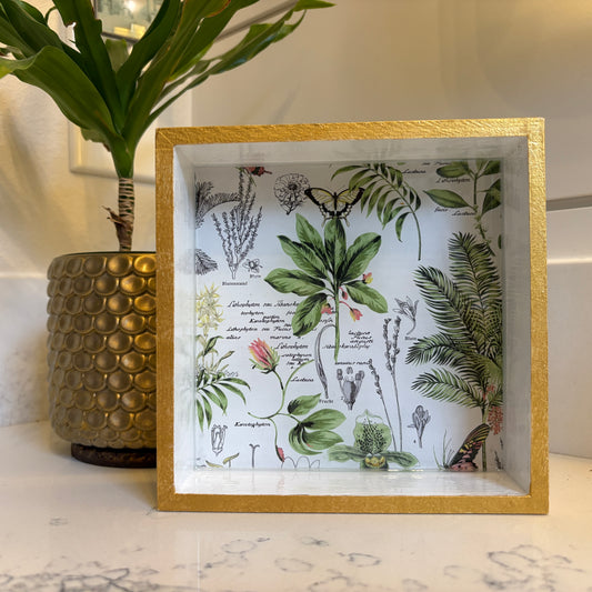 Collector's Valet Box — Blue Poppy Studio (Victorian Botanical)