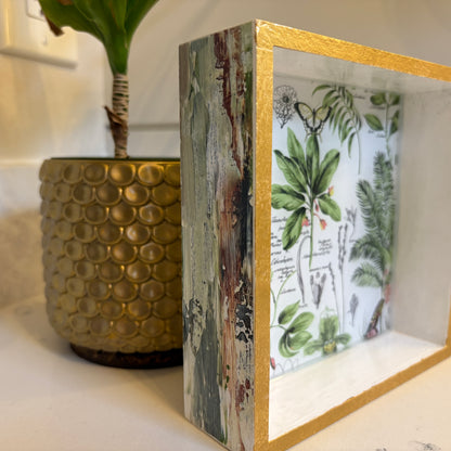 Collector's Valet Box — Blue Poppy Studio (Victorian Botanical)