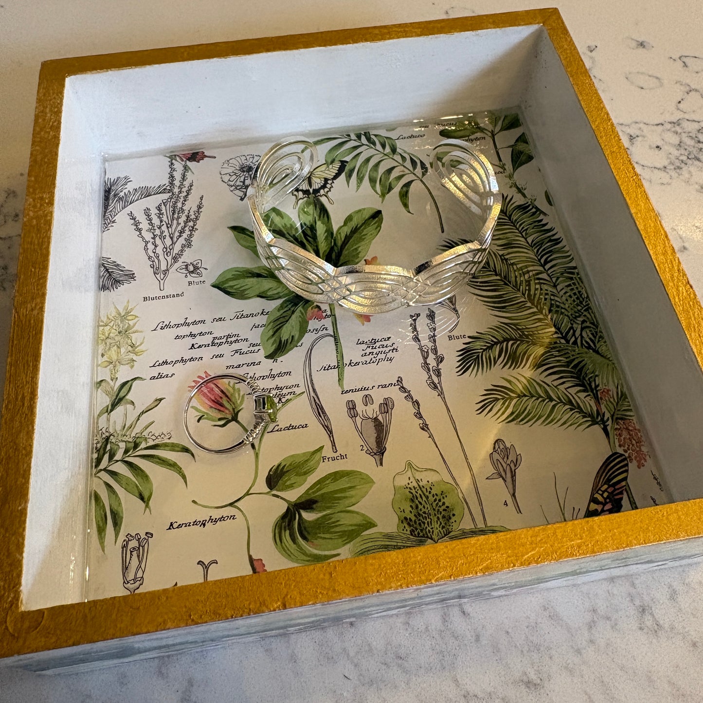 Collector's Valet Box — Blue Poppy Studio (Victorian Botanical)